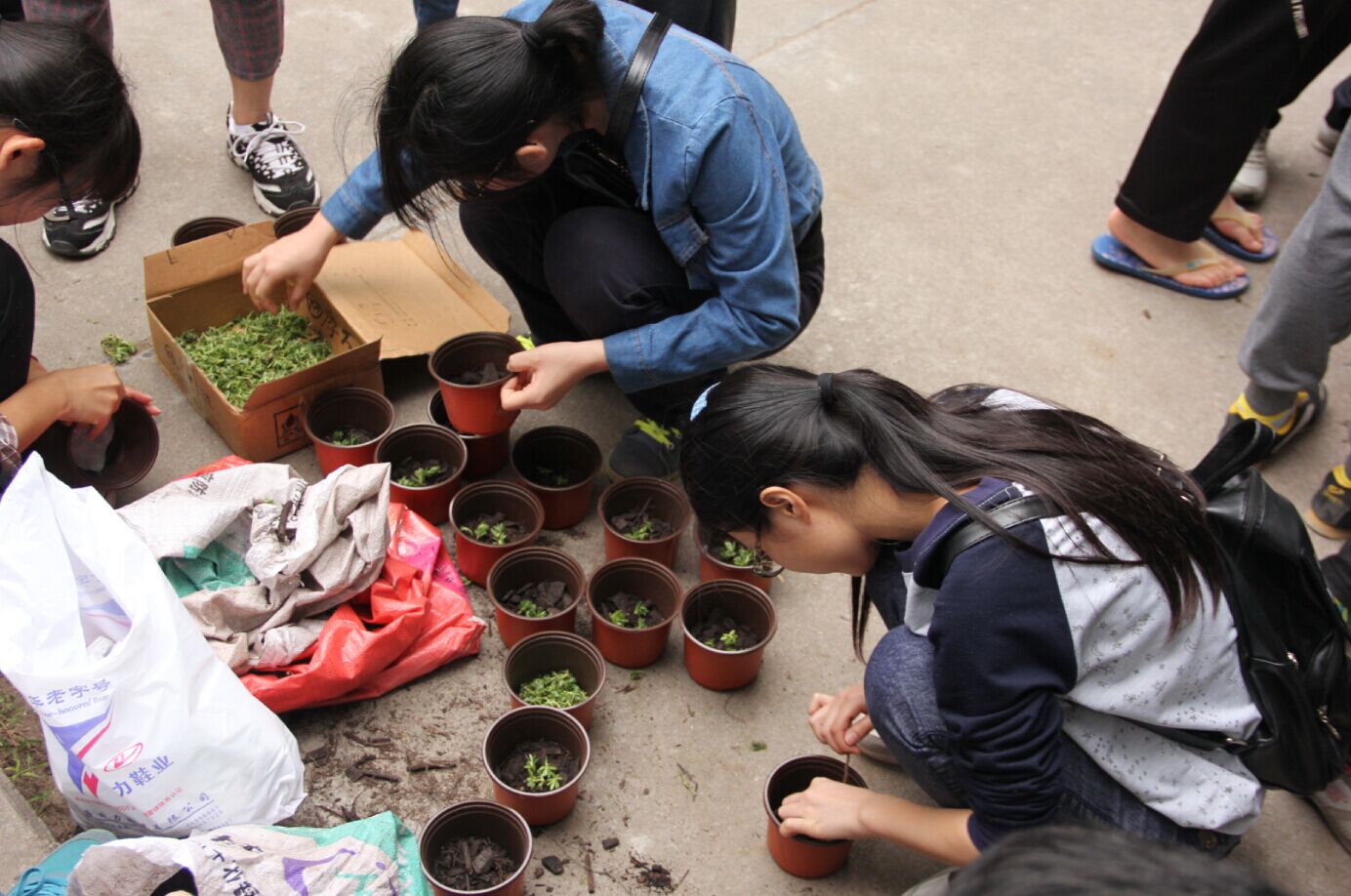 我院大学生“绿植领养”环保活动绿动韩园